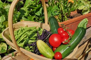 Lecker Schmecker – Obst und Gemüse aus den eigenen 4 Wänden